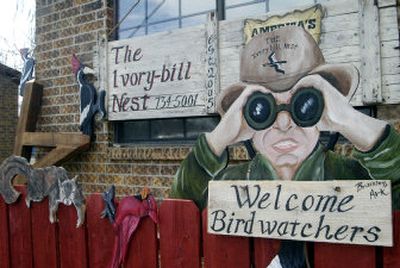 
Lisa Boyd has opened the Ivory-bill Nest gift shop in Brinkley, Ark. It sells souvenirs with the ivory-billed woodpecker's image emblazoned on everything from shot glasses to T-shirts. 
 (Associated Press / The Spokesman-Review)