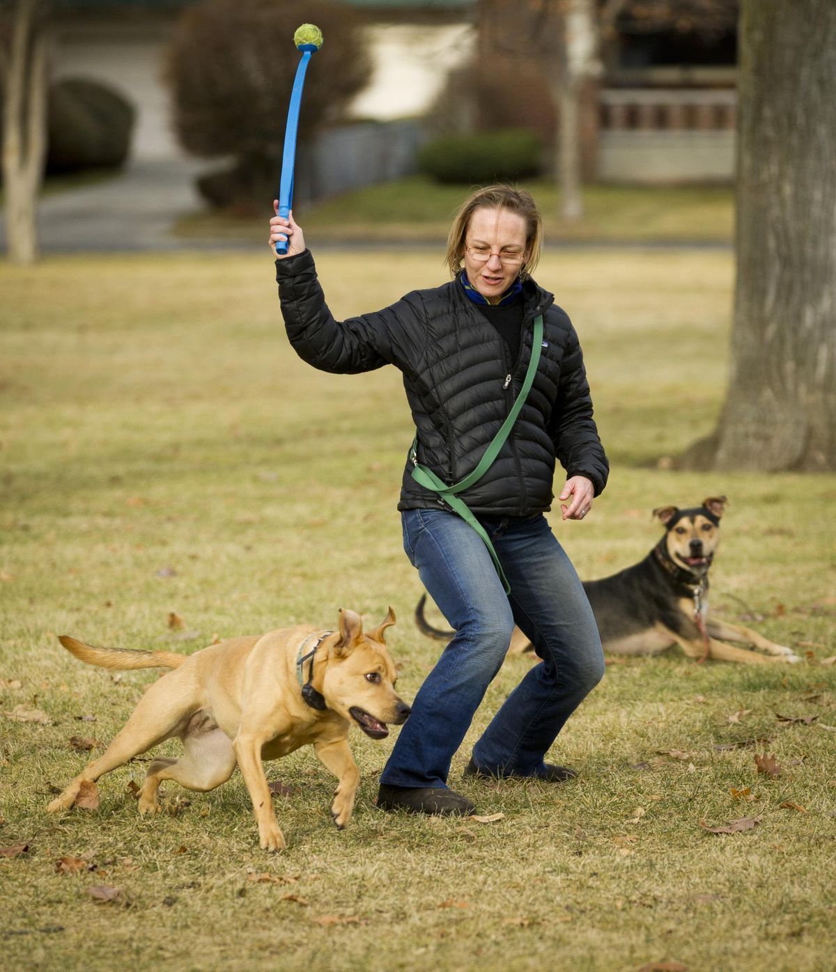 “I’m so happy for the sunshine,” said Diane Sherman as she exercises her dogs Zara (running) and Benji in Corbin Park Tuesday, Jan. 2, 2012. (Colin Mulvany / The Spokesman-Review)