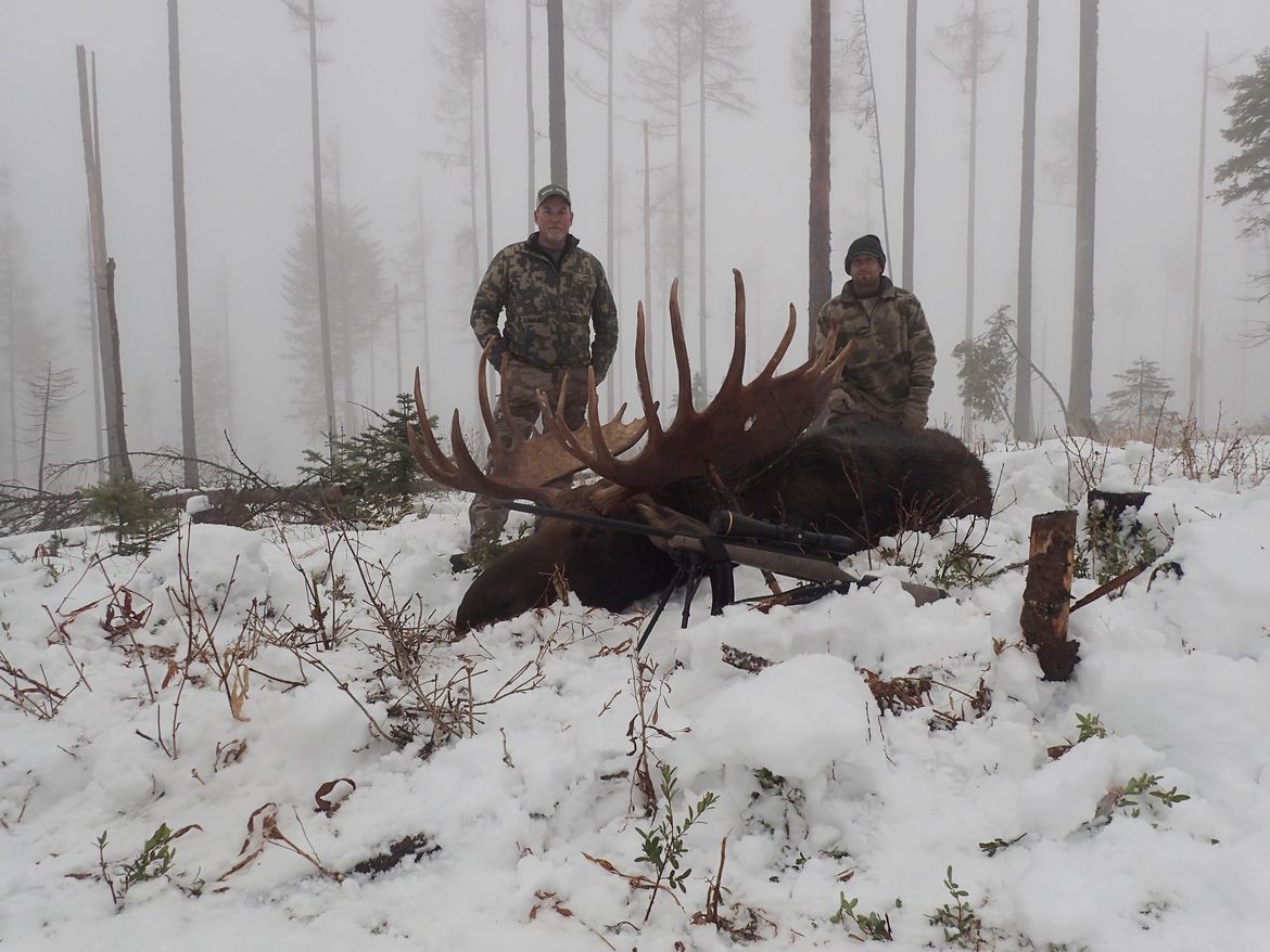 Worldrecord moose April 10, 2019 The SpokesmanReview