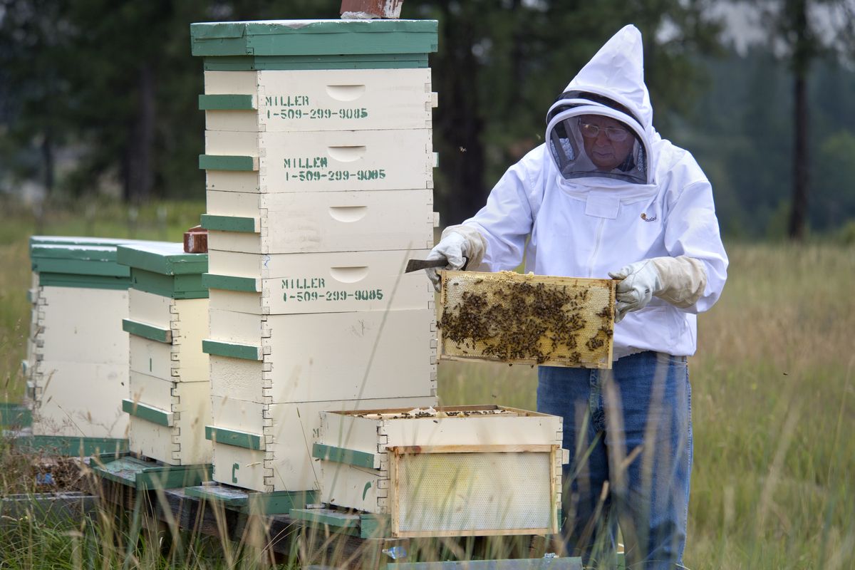 Why Do Beekeepers Give Up?