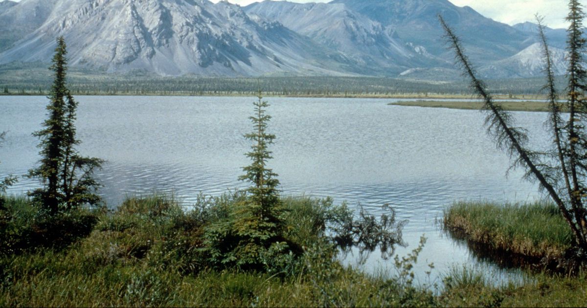 The Biden administration will keep 28 million acres in Alaska closed to drilling and mining