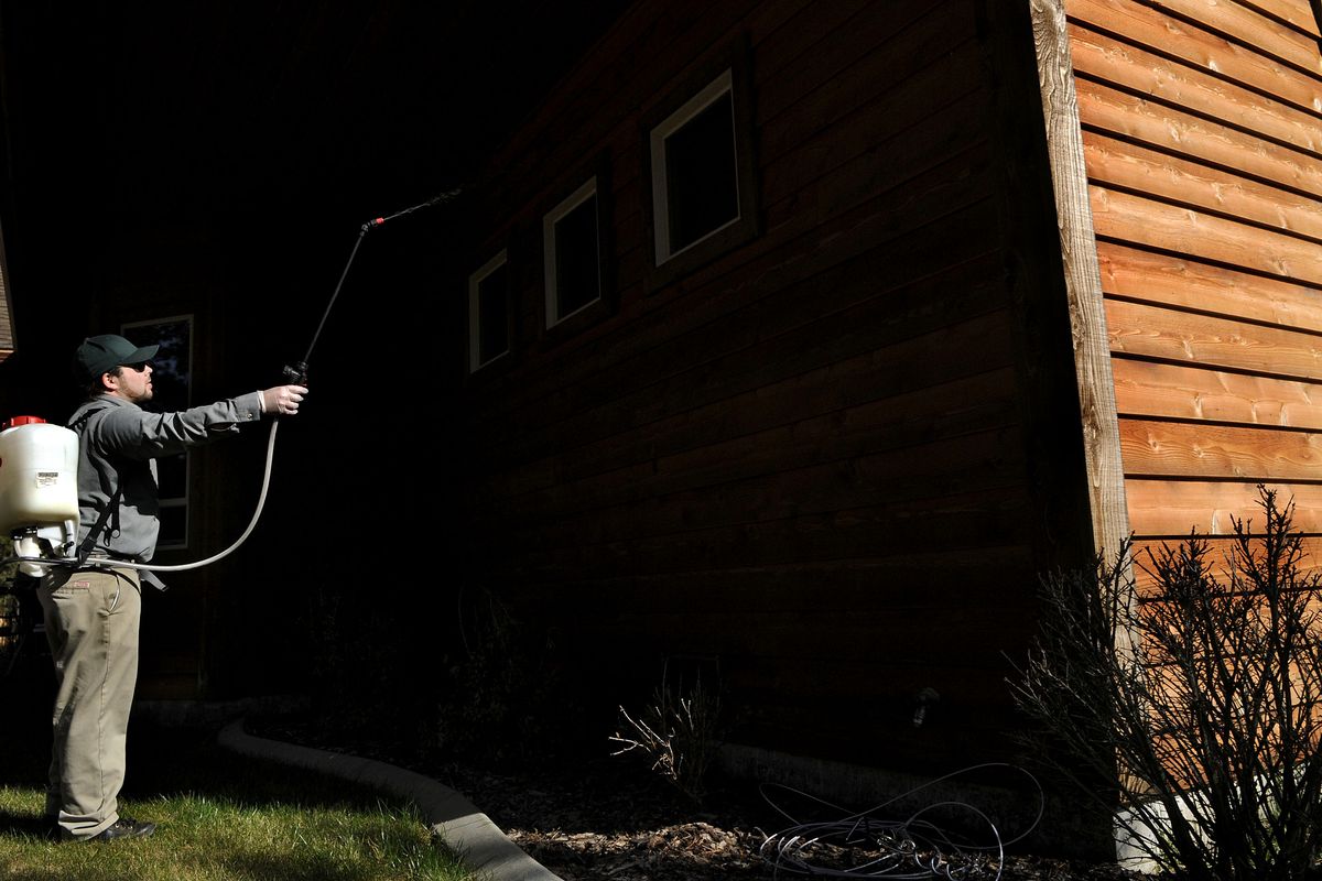 Chris Russell of Advanced Pest Control sprays a house in Coeur d’Alene on Tuesday. The business  has had an increase in the number of calls due to the early onset of warm weather. (Kathy Plonka)