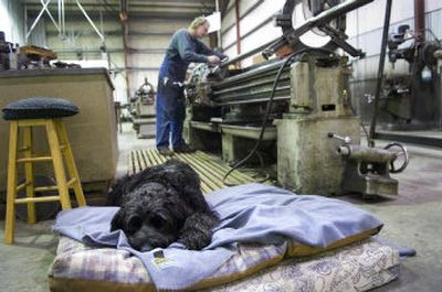 
Duncan, a black Russian terrier, relaxes Tuesday while machinist Chris Nielson works in Airway Heights. Duncan was supposed to fly to Australia earlier this month, but his departure has been delayed due to medical concerns. If all goes well, he will be reunited with his new owner, Kevin Greer, in February. 
 (Holly Pickett / The Spokesman-Review)