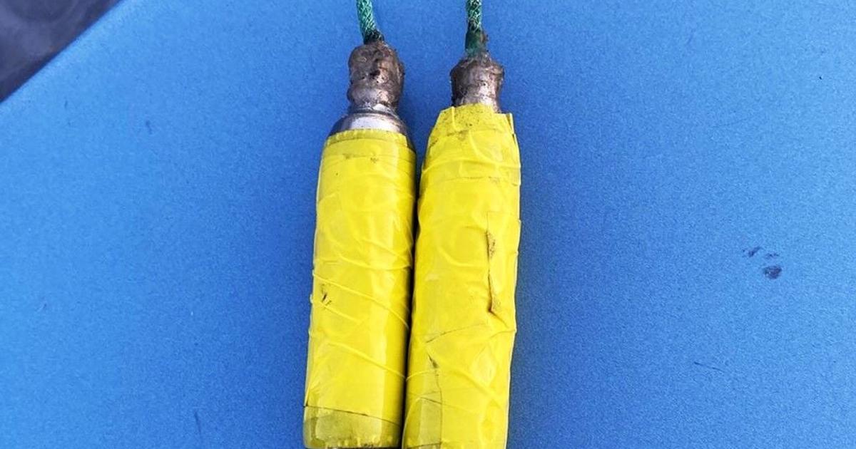 Welfare check draws bomb squad after deputies find explosives on man in ...