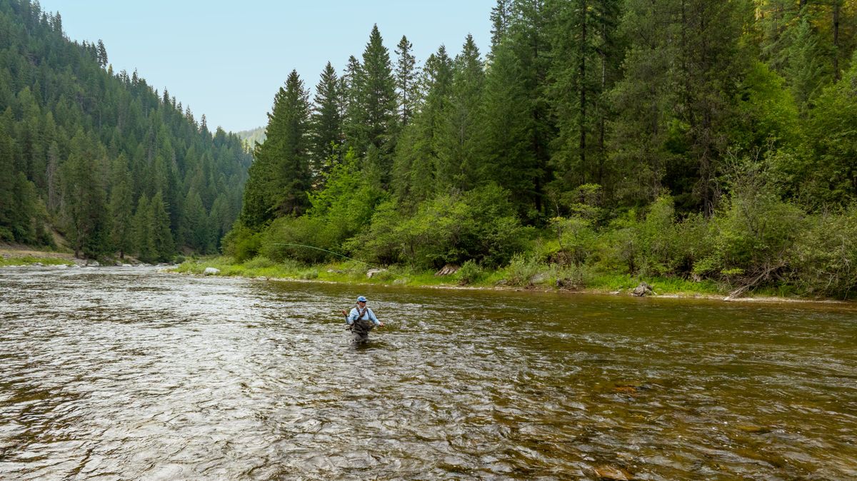 An angler fishes the Saint Joe River where it flows through a property purchased by the Western Rivers Conservancy in November. (Daniel Cronin/Western Rivers Conservancy)