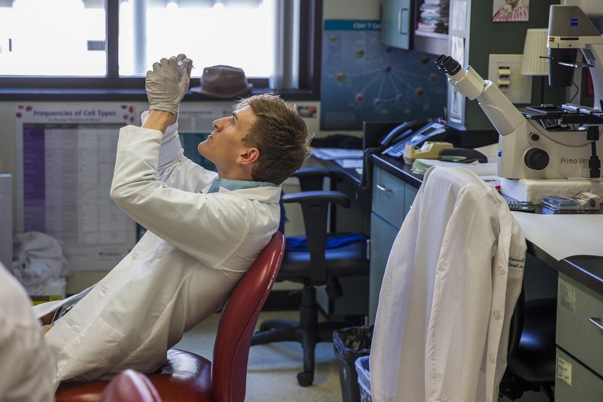 Blake Rust, post-doctorate researcher in the Wambre Lab at the Benaroya Research Institute, examines a blood sample on August 1, 2017, in Seattle. (Kjell Redal/Seattle Times/TNS) (Kjell Redal / TNS)
