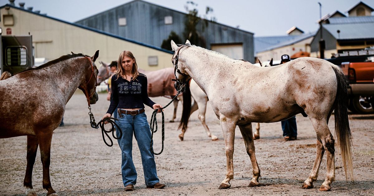 Four-legged family members among those utilizing Spokane fire resources