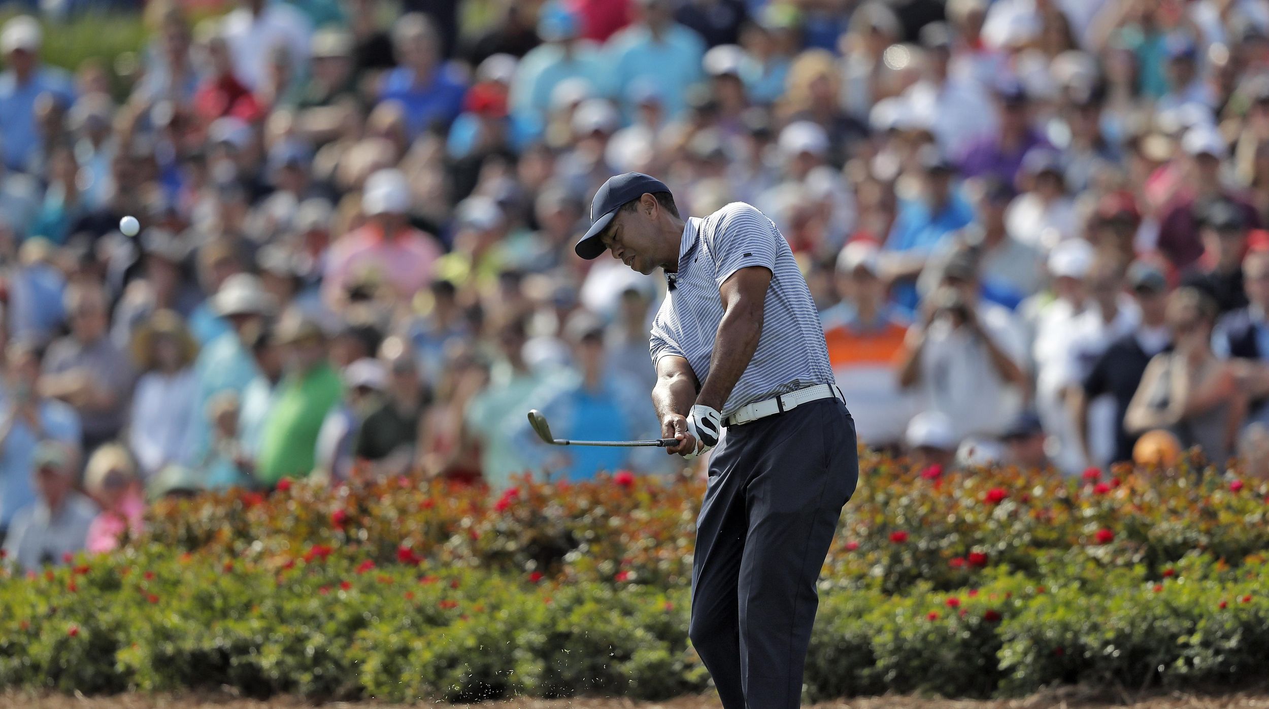 Tiger Woods cards highest score ever at 17, makes cut at Players | The ...