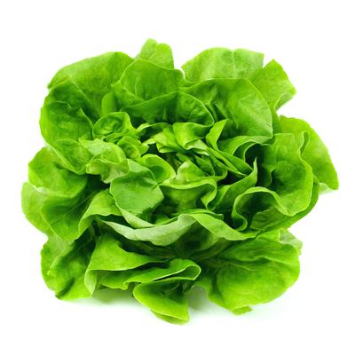 State officials said Monday an outbreak of cyclosporiasis that has sickened more than 2,600 Michigan residents is believed to have originated with infected lettuce or salad greens. (Dreamstime/TNS)  (Dreamstime/Dreamstime/TNS)