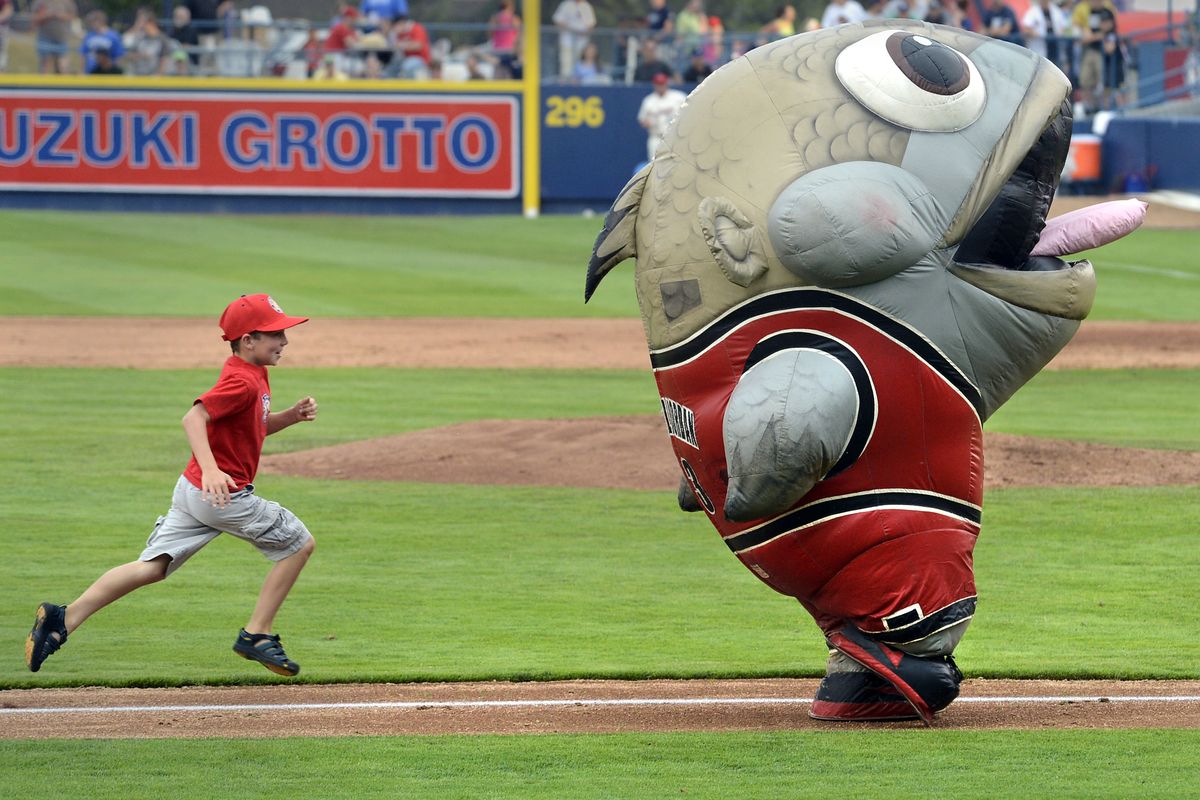 Carson Blakesley blazes from behind to pass ZOOperstar Mackerel Jordan in a promotional race to home plate during Thursday’s game at Avista Stadium. Blakesley won the race and then was gobbled up by the creature and carried off the field. (Dan Pelle)