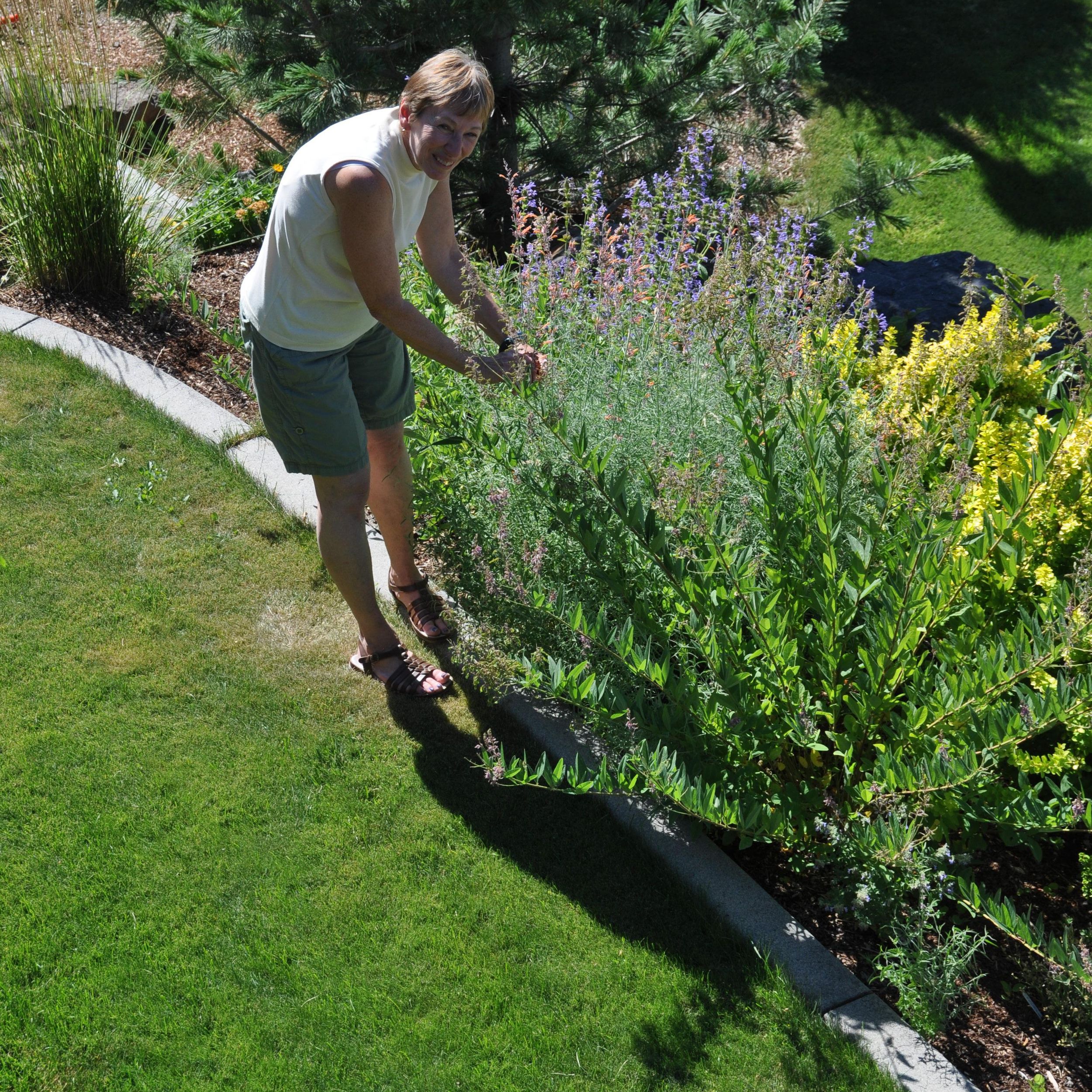 Gardening From Empty Slate Painted Hills Home S Landscape Named July Garden Of The Month The Spokesman Review