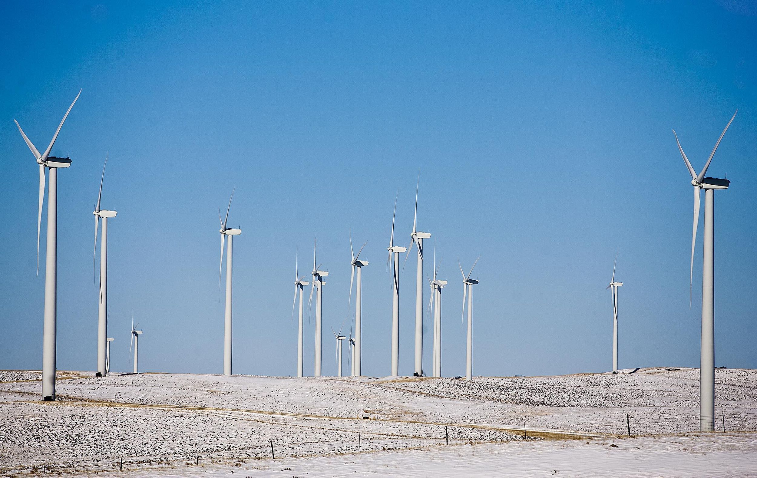 Bird, bat deaths could top predictions at Montana wind farm The