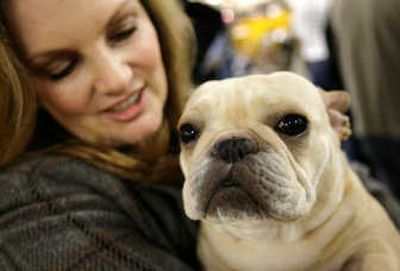 
Patricia Hearst Shaw poses with her French bulldog, Diva, on Monday at the  Westminster Kennel Club Dog Show  in New York. Associated Press
 (Associated Press / The Spokesman-Review)