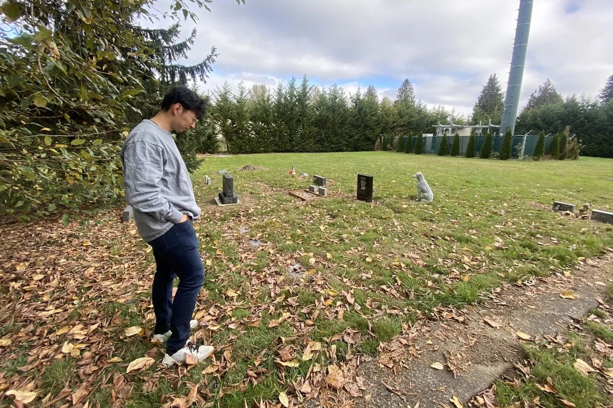 Frank Guo, of Seattle, buried his 3-year-old French bulldog, Henley, at the Seattle-Tacoma Pet Cemetery in 2022 in Kent. He paid $1,800 for a gravestone, but Henley’s resting place remains unmarked  (Elise Takahama/Seattle Times)