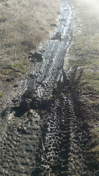 Sunny, warm days are a nice respite for recreationists of all kinds. But in one way, they’ve  caused problems. Trails have been damaged by users in recent days, according to Evergreen East Mountain Bike Alliance. (Evergreen East Mountain Bike Alliance / Courtesy)