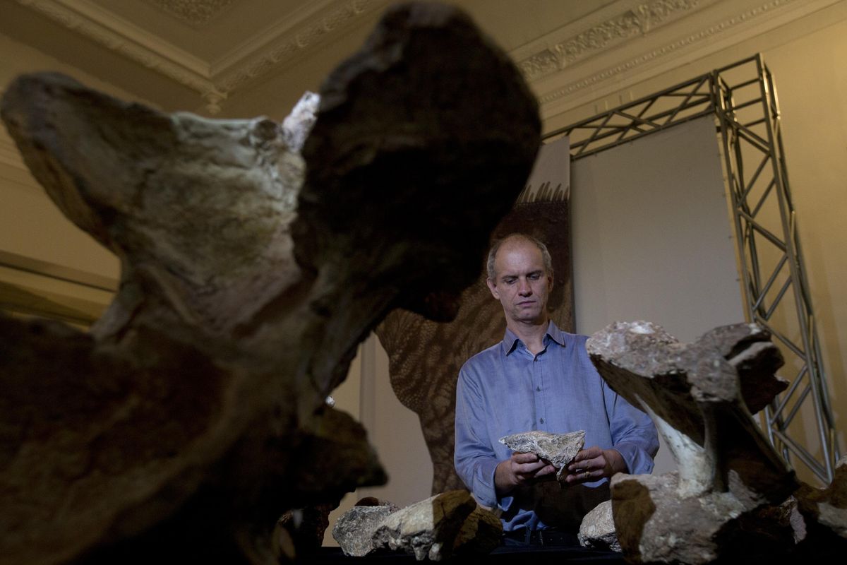 Paleontologist Alexander Kellner holds bones of the Austroposeidon magnificus dinosaur at the Earth Sciences Museum, in Rio de Janeiro, Brazil, Thursday, Oct. 6, 2016. Brazilian scientists say they have discovered the Austroposeidon magnificus, the largest dinosaur ever found in South America’s biggest country. (Silvia Izquierdo / Associated Press)