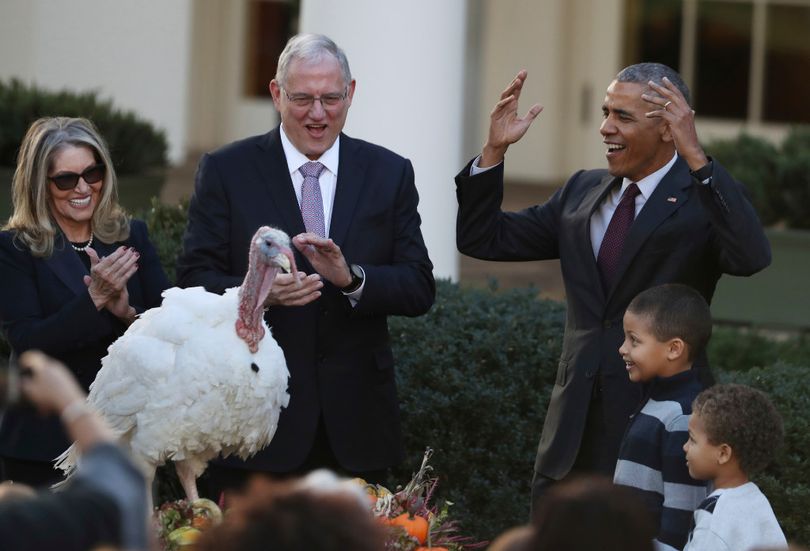 President Barack Obama, with his nephews Aaron Robinson and Austin Robinson, and National Turkey Federation Chairman John Reicks, pardons the National Thanksgiving Turkey, Tot, Wednesday, Nov. 23, 2016, during a ceremony in the Rose Garden of the White House in Washington. This is the 69th anniversary of the National Thanksgiving Turkey presentation. (AP Photo/Manuel Balce Ceneta)