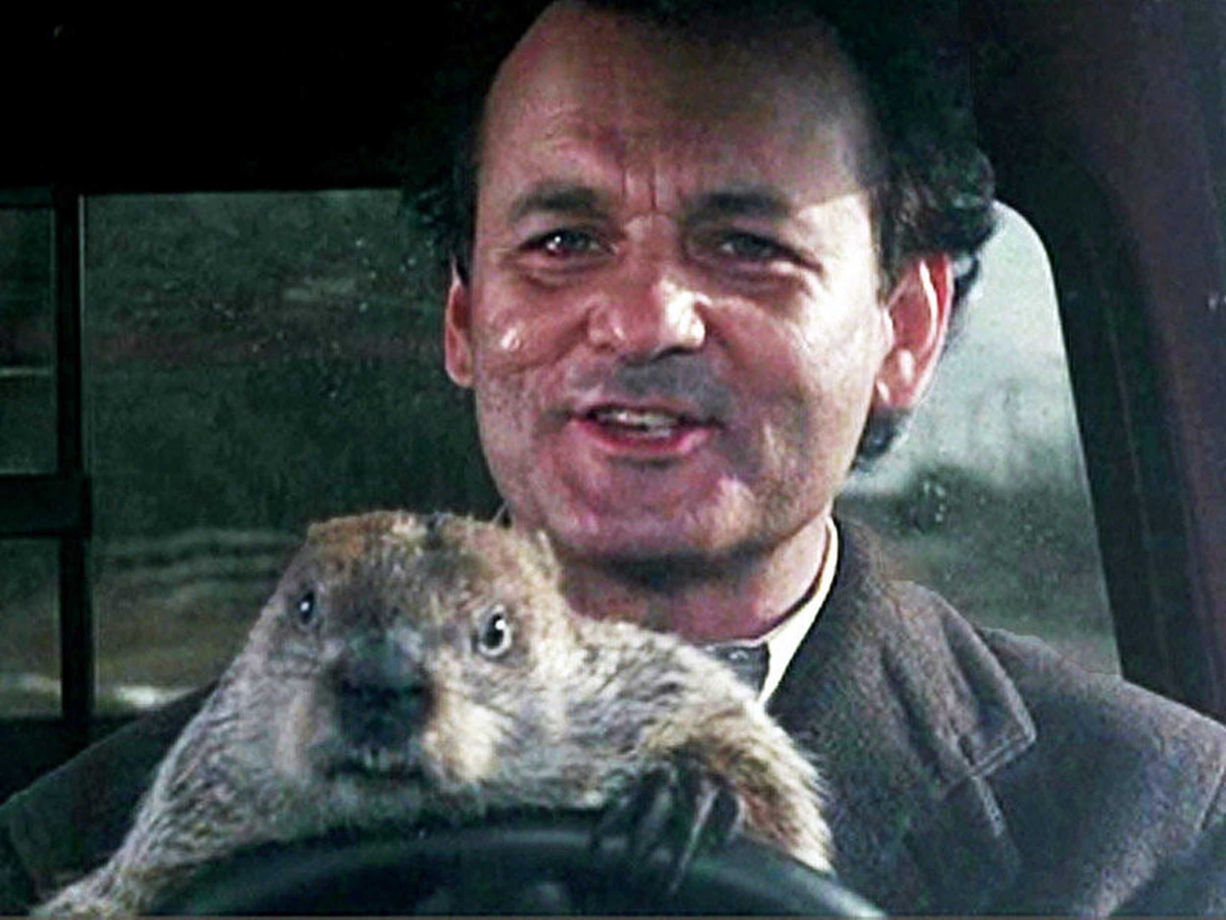 Go hog wild Plan a Groundhog Day celebration worth repeating The