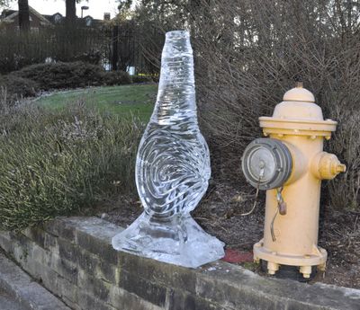 OLYMPIA -- Ice sculpture of a geoduck that was used to decorate a table serving oysters at the Inaugural Ball reception Wednesday rests on a stone wall next to a Capitol fire hydrant at the entrance to the Governor's Mansion Thursday, 1/12/2017, as cleanup from the celebrations continue. Because the weather is hovering around freezing during the day, and expected to drop below it at night, the sculpture may be around for a while.   (Jim Camden/The Spokesman-Review)