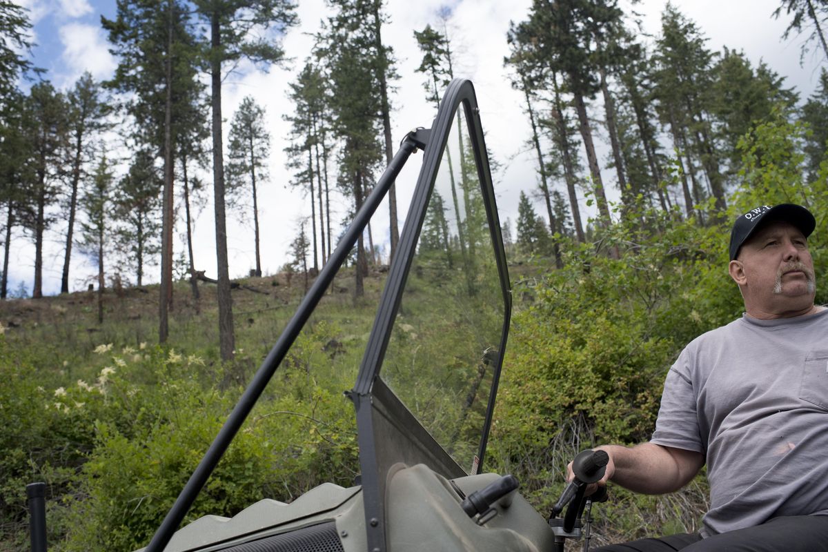 Rich Doney, who worked with his neighbors to save their homes from the flames of last year’s Cape Horn fire, shows some of the land that burned in the 1,300-acre blaze near Bayview, Idaho. (Tyler Tjomsland / The Spokesman-Review)