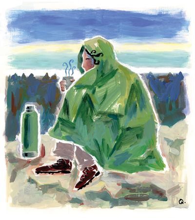  (Molly Quinn illustration)