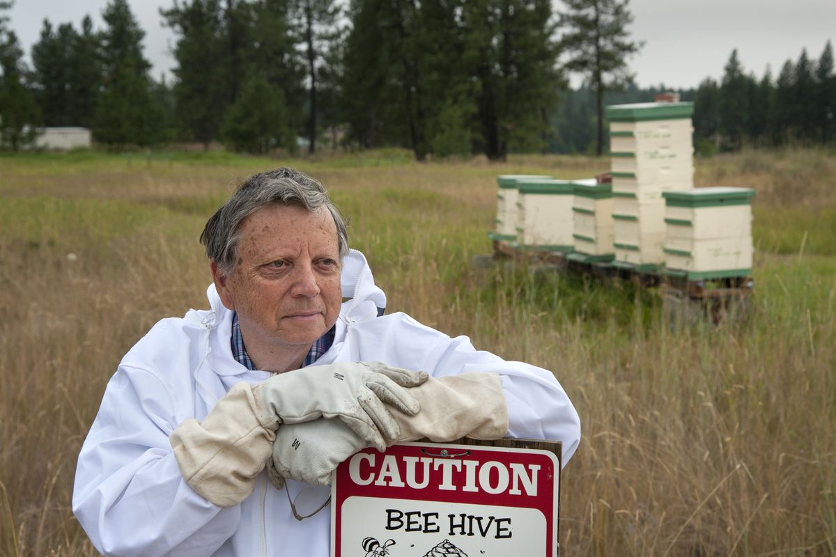 Beekeeper Jim Miller has about 250,000 Carniolan honeybees on his farm near Medical Lake. (Dan Pelle)