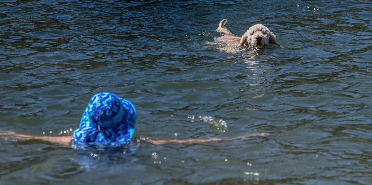"This park is great for us too," says Sarah McLain as she swims in the Spokane River with her dog Sal at Riverstone Dog Park in Coeur d