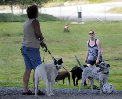 Dog walkers enjoy Spokane County's Patricia Simonet Laughing Dog Park, Sunday, July 3, 2011. (J. Bart Rayniak / The Spokesman-Review)