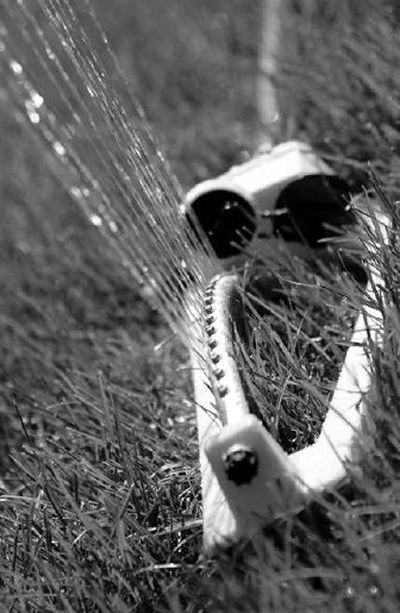 
It's important to know how much water to use and when and how to apply it. For example, watering at night can make your lawn prone to disease. Just as you wouldn't want to go to bed with wet feet, your grass does not like it either.
 (File Photo / The Spokesman-Review)