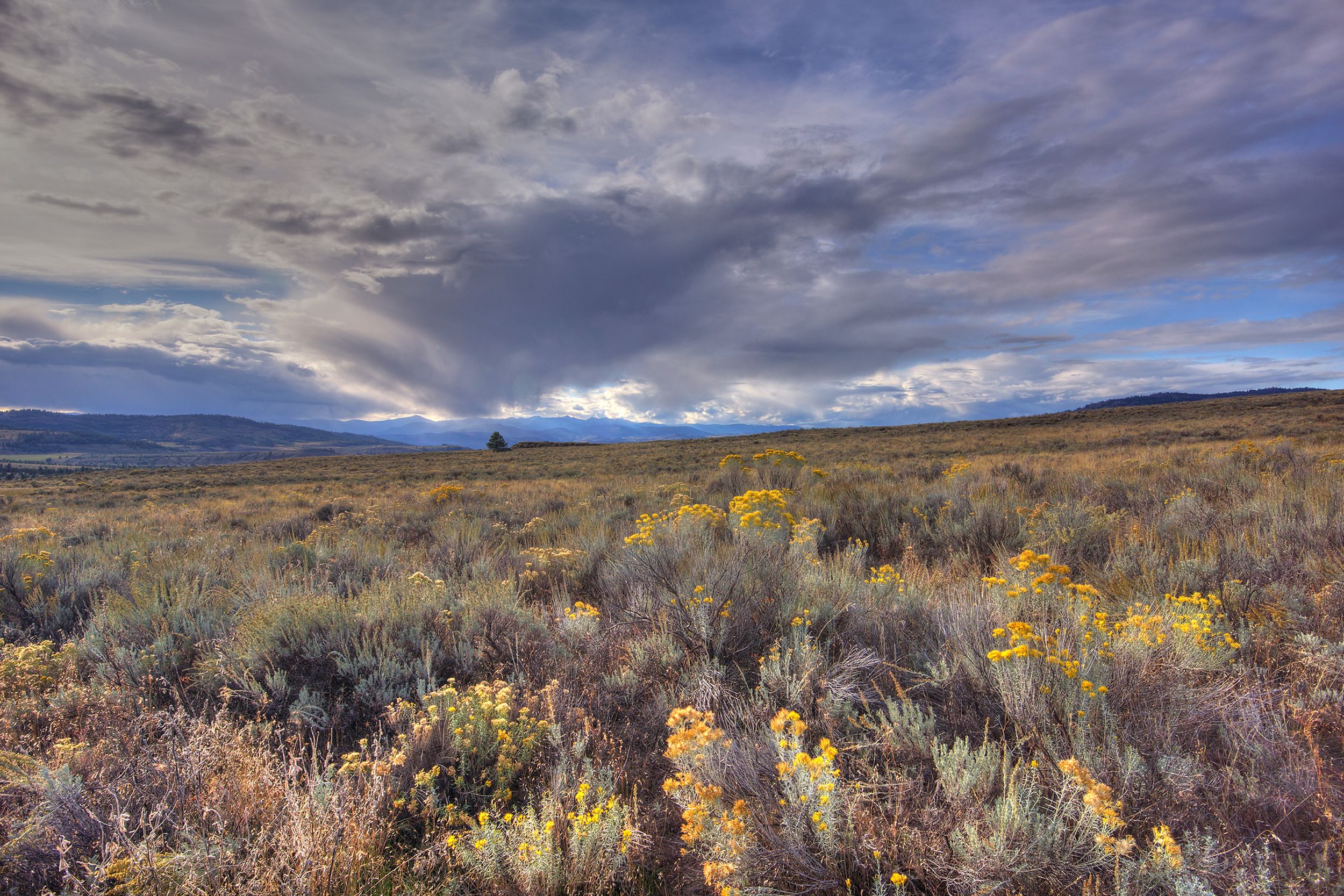 Homesteading family’s lasting legacy realized in agreement to return ...