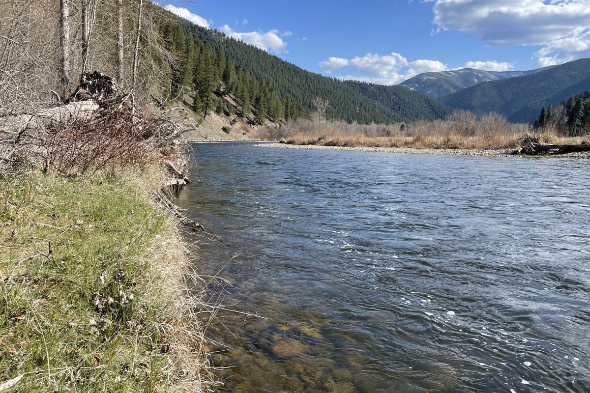 A fishy bank on lower Rock Creek near Clinton, Montana.  (Michael Wright/The Spokesman-Review)