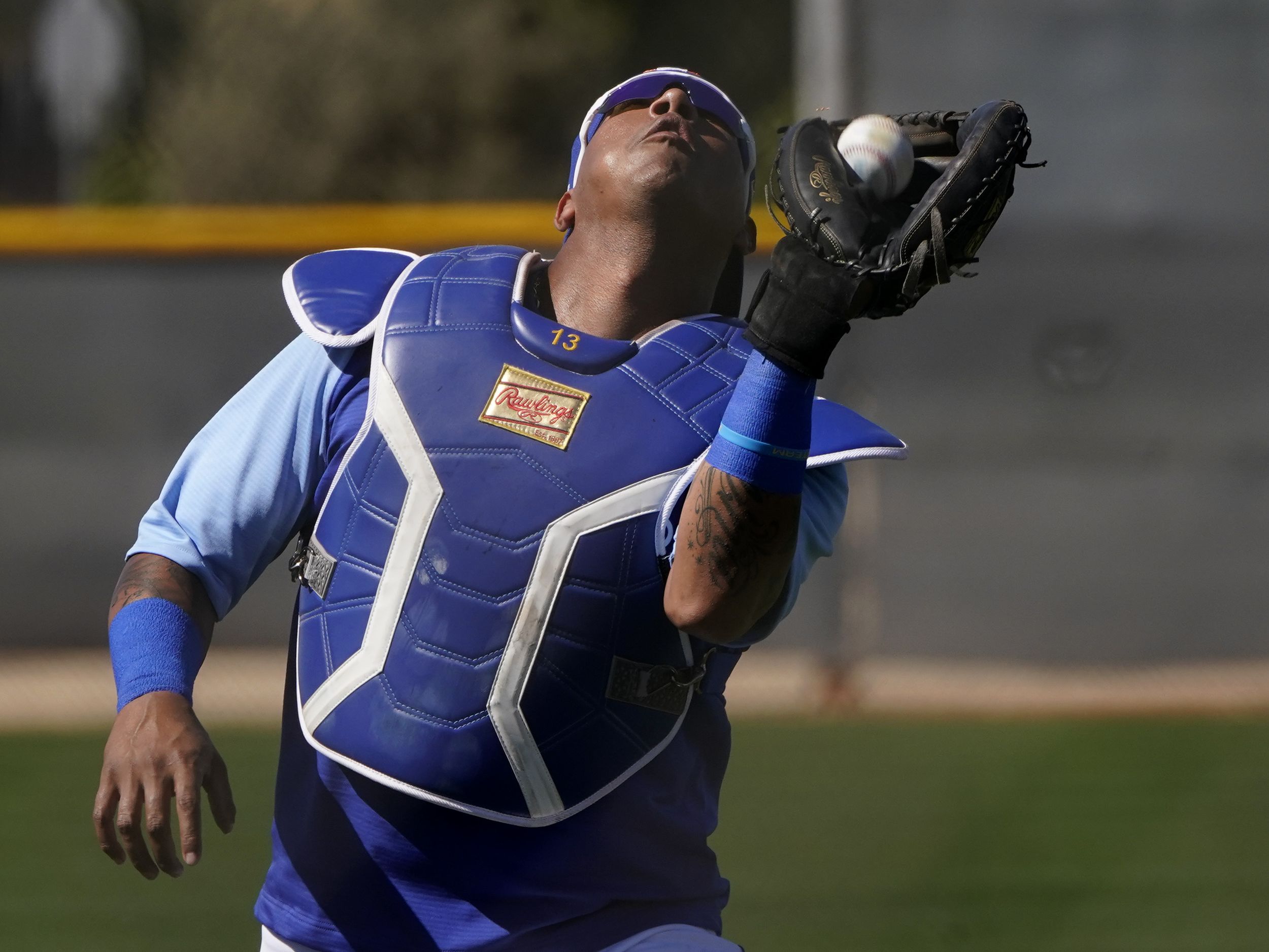 MLB on X: We're digging the hair, Salvy.  / X