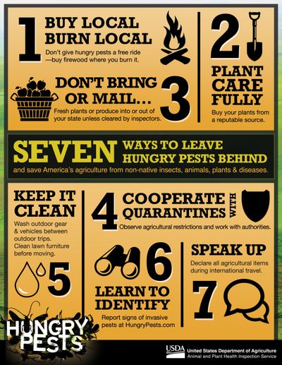 Seven actions the public can take to check the spread of invasive species. (U.S. Department of Agriculture)