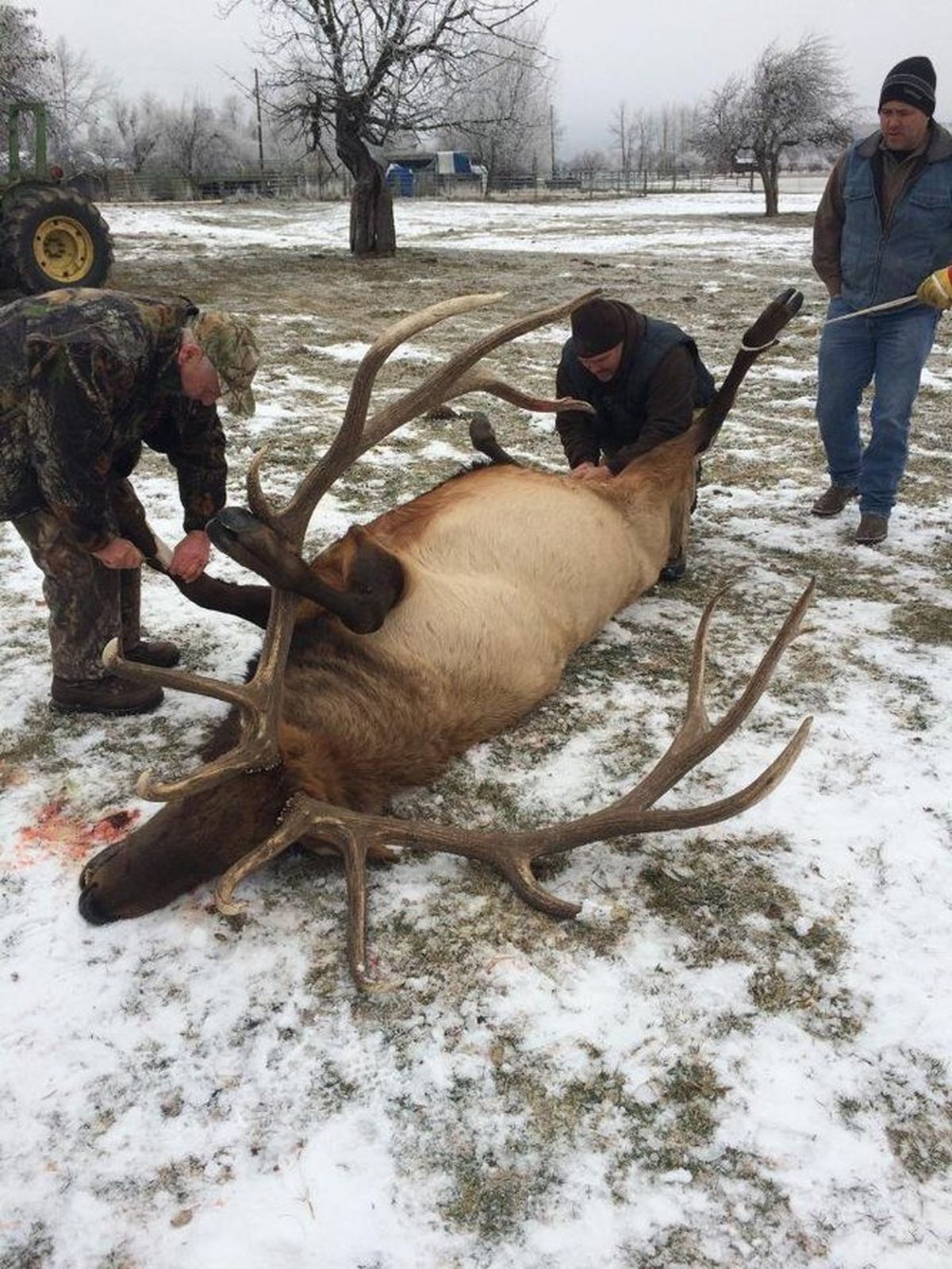 A man identified as Tod Reichert in a state Department of Fish & Wildlife Police incident report holds the front leg of the bull elk locally known as Bullwinkle.  (Lower Kittitas County District C)