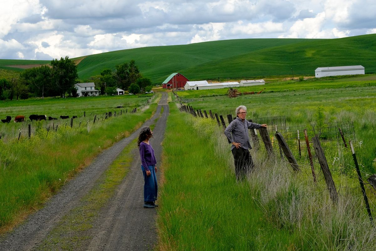 Bryan Jones pauses and surveys his land as he and his partner, Pam Deutschman, walk from the farmhouse where he grew up to their mailbox on Friday, Jun 3, 2022, outside Colfax, Wash. Jones hopes to eventually turn his farm into land centered on conservation and a wildlife travel corridor.  (Tyler Tjomsland/The Spokesman-Review)