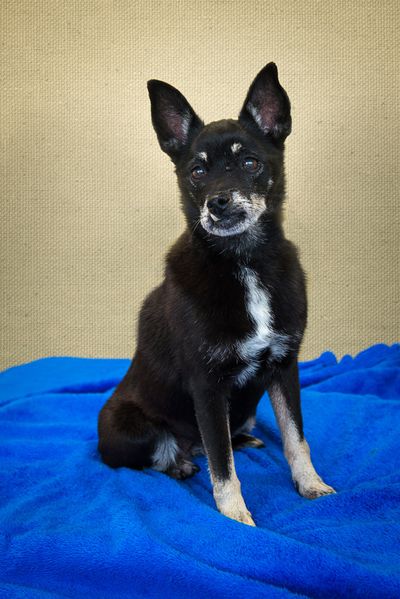 <!-- Feature creature  --> (Photo courtesy of Karen Fosberg)