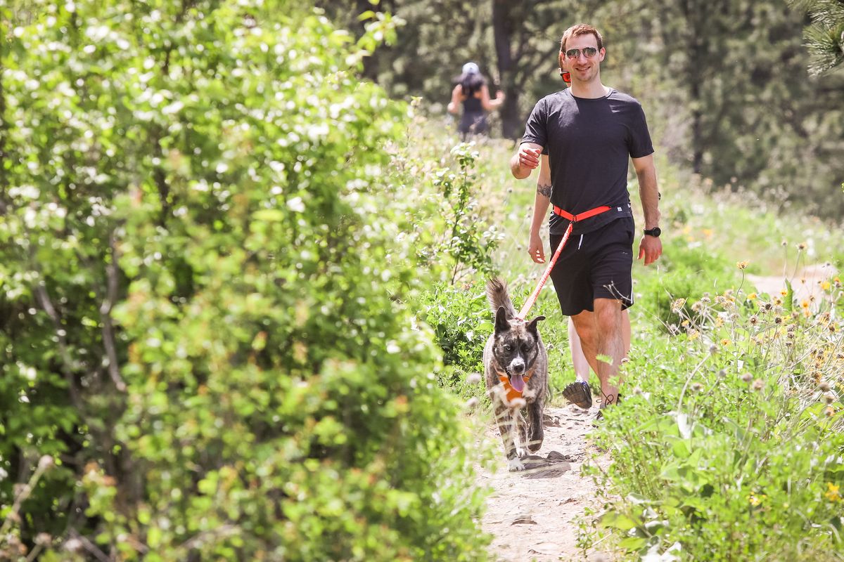 Nicholas Roy goes for a walk with Sydney Frandsen, background, and dog Elska, a mix between Siberian husky and Presa-Canario, on the trails at High Drive on May 14.  (Libby Kamrowski)