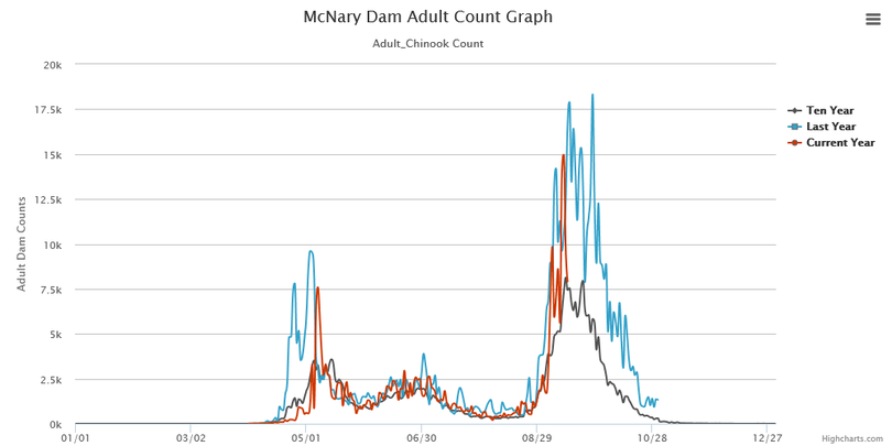 Fall chinook counts over McNary Dam, the last Columbia River dam the migrating fish cross before entering the Hanford Reach. (Fish Passage Center)