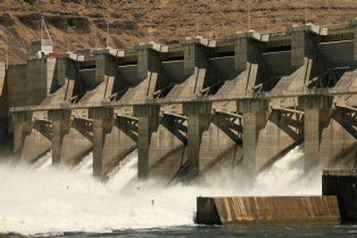 
The Lower Granite Dam on the Snake River is shown in July. Dam operation on the Snake River is just one wildlife-related issue on which judges in the West disagree with the Bush administration. 
 (File Associated Press / The Spokesman-Review)