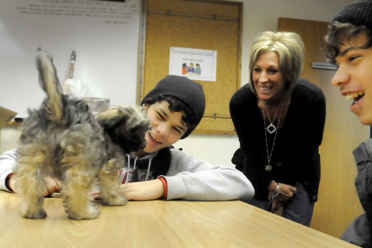 Alec Hopkins, 15, left, and his brother Andrew, 19,  marvel over the new family dog they received Thursday through the Salvation Army’s Adopt a Family program, as Bridget Brooks, manager of the Old Navy store in  Spokane Valley which adopted the family, looks on.  (Jesse Tinsley)