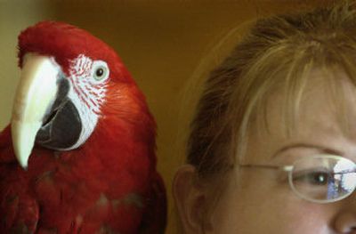 
Priscilla Sivanish and her macaw Biggie meet people at the parrot training workshop Sunday. 
 (Joe Barrentine / The Spokesman-Review)