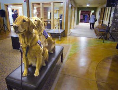 
Hospice dogs Dagwood and Darby visit the Hospice House and interact with patients under the direction of their handler and owner, Skip Partridge.
 (CHRISTOPHER ANDERSON/ / The Spokesman-Review)