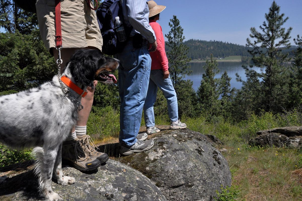 Trail Angels pause overlooking Newman Lake while hiking nearly 5 miles of trails cleared and marked by volunteers on the McKenzie Conservation Area. (Rich Landers)
