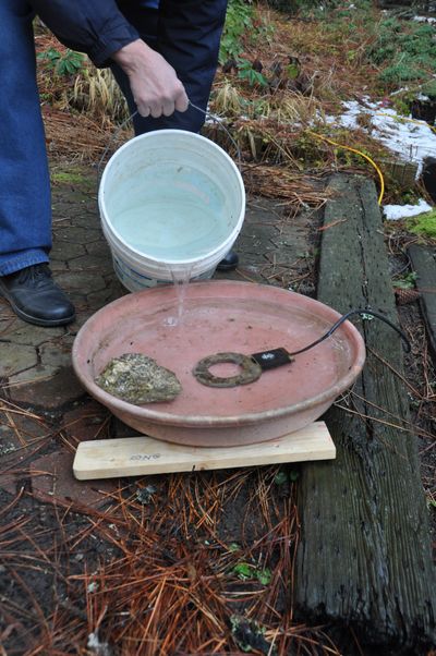 Wild birds need a clean water source through the winter. Here Steve Munts pours water into a flat tray heated with a small stock tank heater. It’s big enough that all the critters come to drink.  (Pat Munts/For The Spokesman-Review)