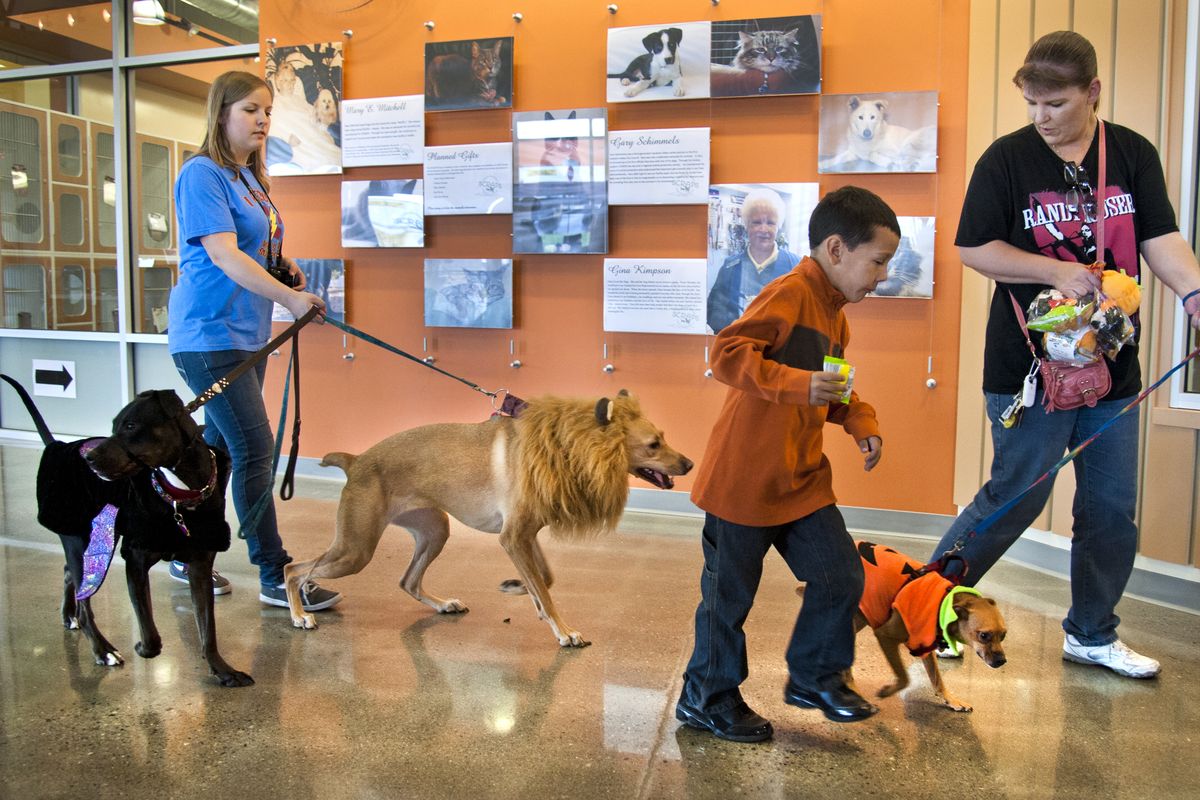 Brytany, Zacheriyah and Kathy Vansant escort Brytany’s dogs, Zephyr, as a bat, Starla as a lion and Mr. Bojangles as a pumpkin, as they participate in the SCRAPS Yappy Howl-a-ween Pawty pet parade on Saturday in Spokane Valley. (Dan Pelle)