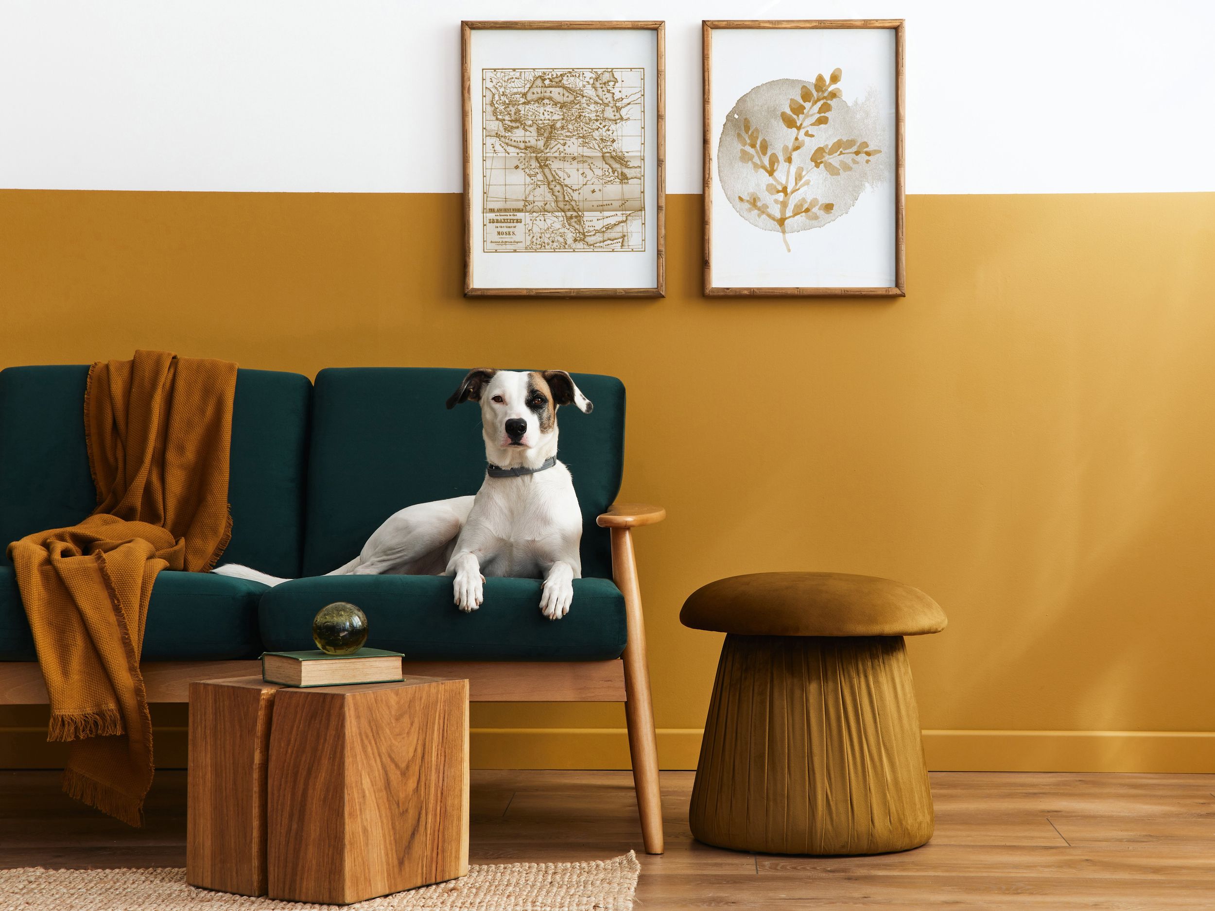 The best pet-friendly fabrics and finishes to protect your