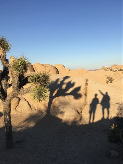 We love visiting National Parks, especially Joshua Tree. (John Nelson)