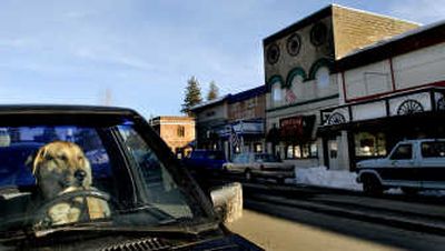 
Dozer waits outside Spirit Lake Video for his owner, Mike Davis, of Blanchard.
 (Kathy Plonka Photos / The Spokesman-Review)