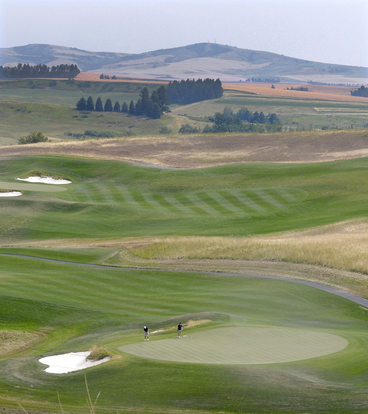 The views at Palouse Ridge, the WSU course in Pullman, offer a contrast of the green links and the browns of wheat fields. August 2, 2010, photo. (Christopher Anderson / The Spokesman-Review)
