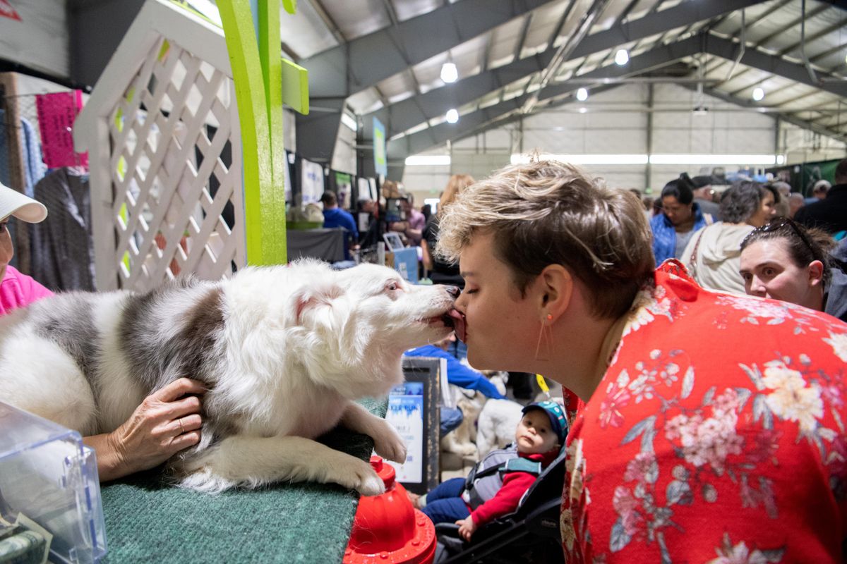 Northwest Pet Expo March 30, 2019 The SpokesmanReview